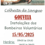 Colheita de Sangue