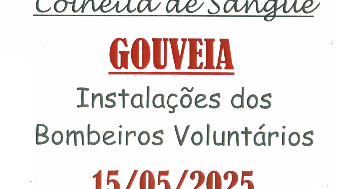 cartaz