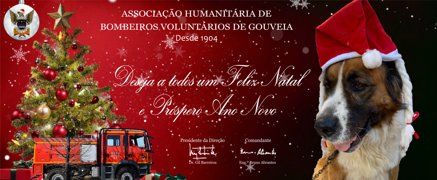 Bombeiros de Gouveia